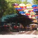 5º Encontro IPSS e Lares de Santa Comba Dão