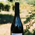 Vinho de Santa Comba Dão obtém medalha de prata em concurso internacional