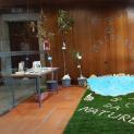 A Biblioteca e a Natureza