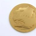 Governo atribui medalha de mérito de proteção e socorro