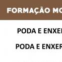 Inscrições Abertas: Formações Modulares Certificadas de Poda e Enxertia em Viticultura e Fruticultura 