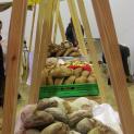 “Abril de sabores e cheiros mil” em Santa Comba Dão