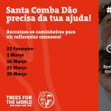 #projeto100árvores:  Escuteiros vão plantar 15 mil árvores em 5 dias em Santa Comba Dão