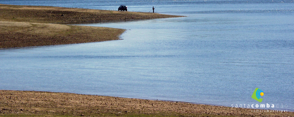 Banner Ribeira
