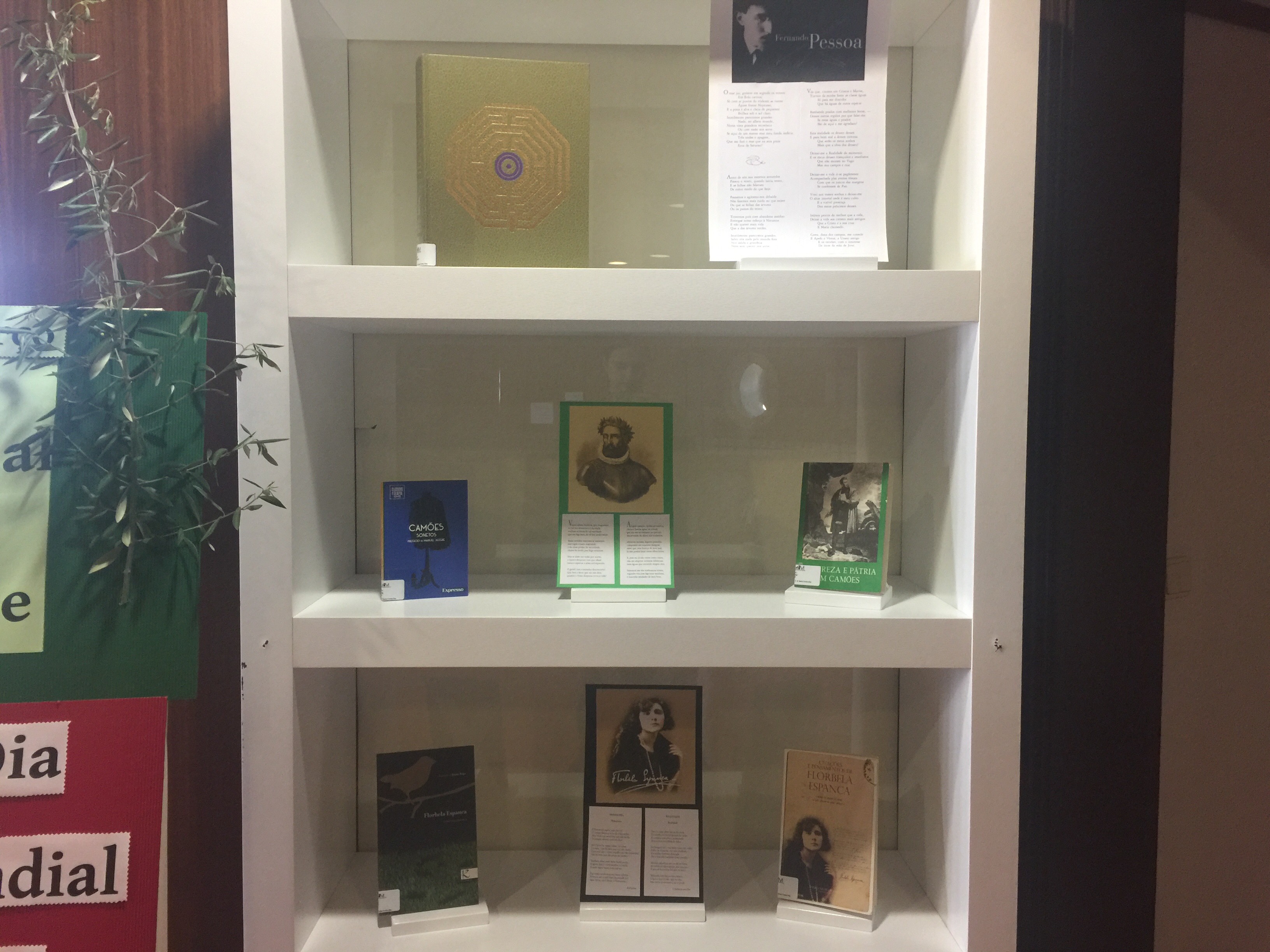 Exposição temática: Celebração do Dia Mundial da Árvore e da Floresta