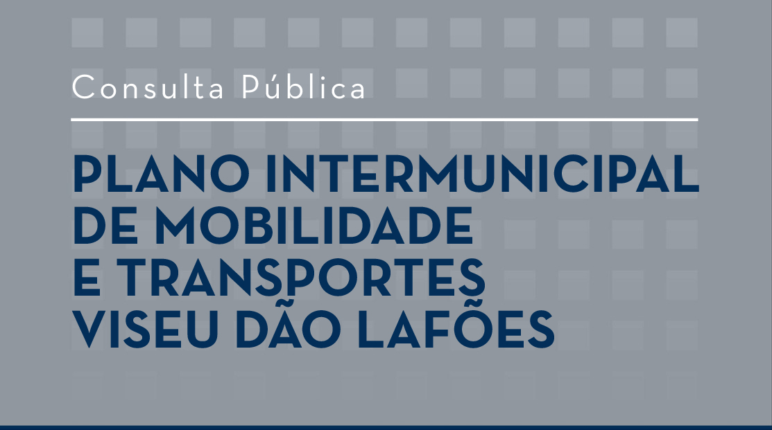 pimt consulta publica imagem lateral site 01
