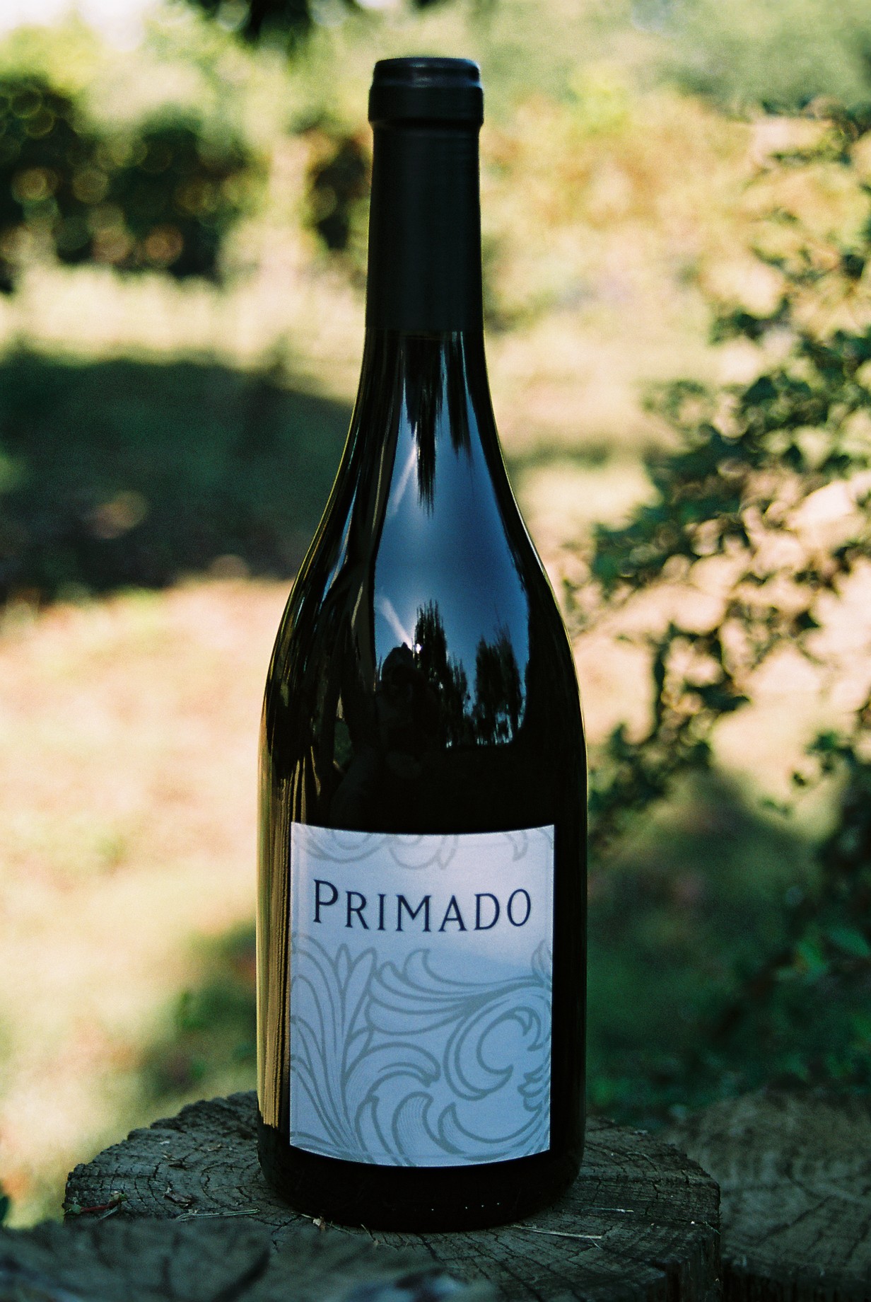 Primado