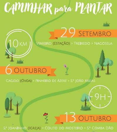 CaminharPlantarSiteA