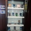 Minha Pátria é a Língua Portuguesa