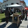 iii_feira_antiga_033
