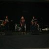 p1018687
