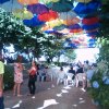 p1019480